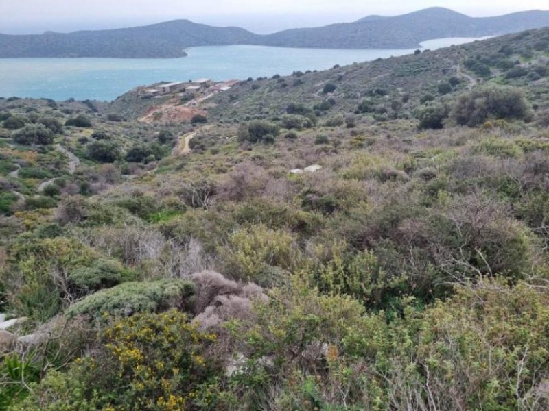 Elounda Kreta - Meerblick-Baugrundstück bei Elounda Grundstück kaufen